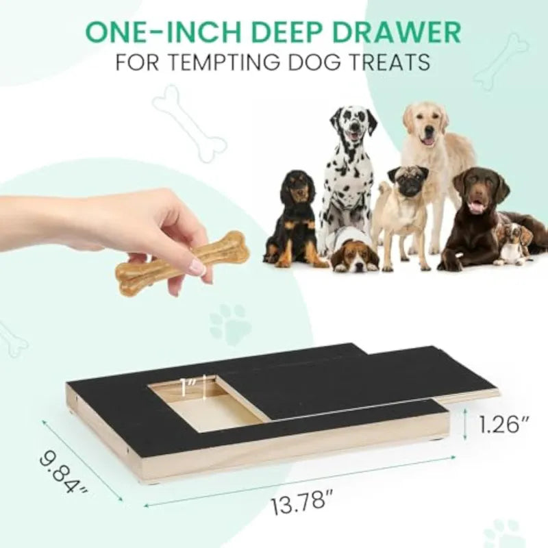 Treat-Track Dog Nail Board